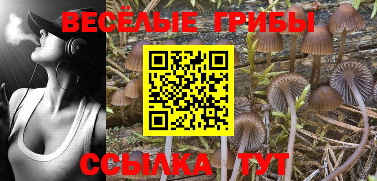 Псилоцибиновые грибы Magic Shrooms  Вход с VPN  Подольск 